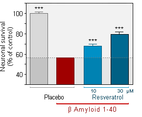 b-amyloid