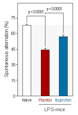 NEUROFIT website